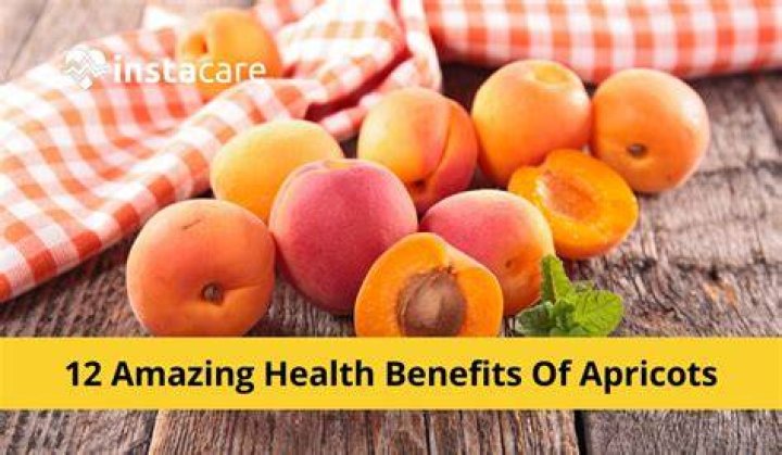 12 AMAZING HEALTH BENEFITS OF BITTER KOLA YOU NEED TO KNOW in 2021