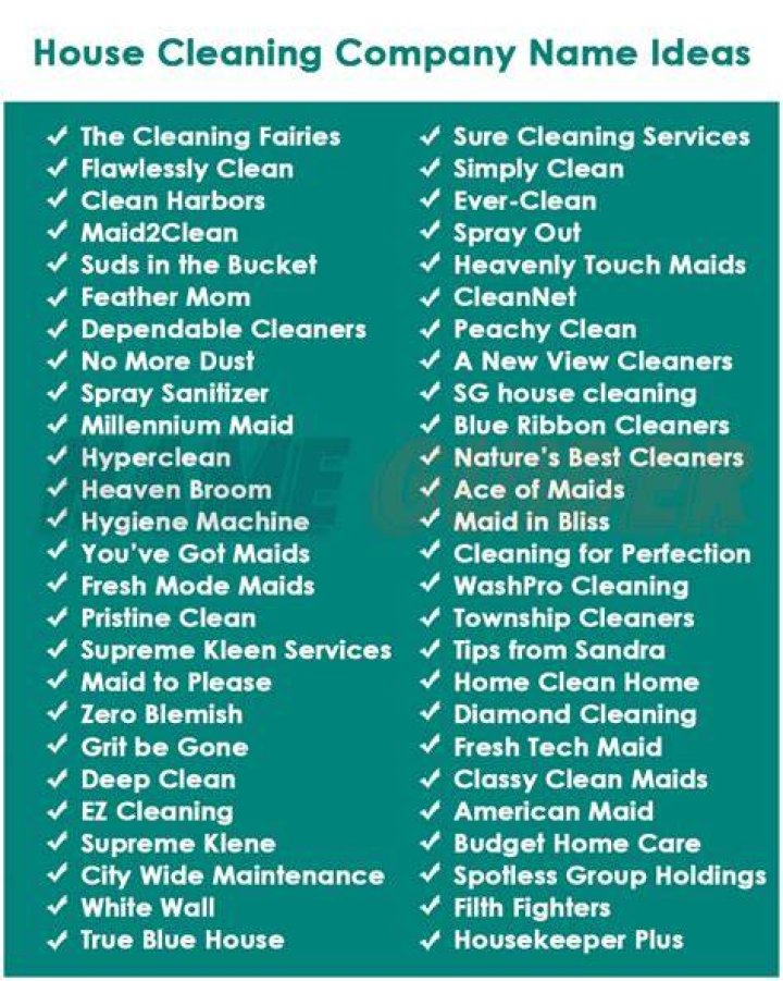350+ Cleaning Company Names 2023 (Unused, Unique, Classy)
