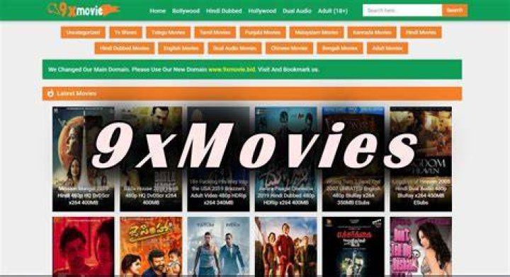 9xmovies Movies Download Website will I go to jail if I download