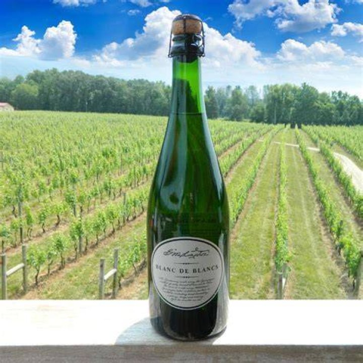 A blanc de blancs is a sparkling wine produced using only white grapes.