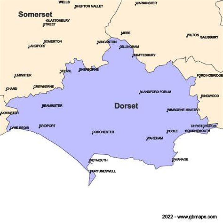 A spokesman for Dorset County Council said they are continuing to monitor the situation but believe they are making the right decision