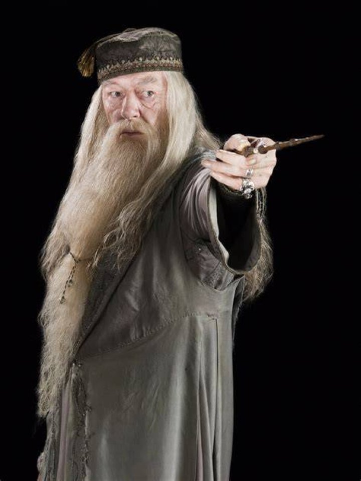 Albus Dumbledore's Wand
