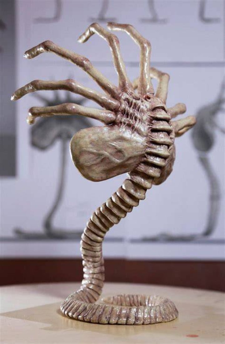alien movie facehugger xenomorph