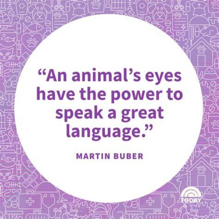  Animal is thought to be based on Keith Moon