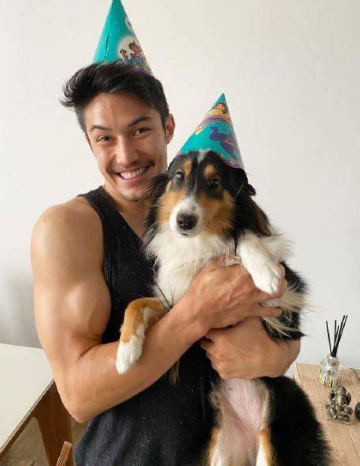 Arthur Nory Pet Dog