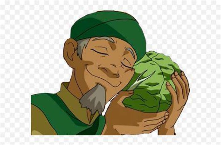 avatar-cabbage-man.png