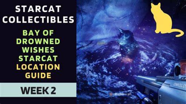 Bay of Drowned Wishes Starcat
