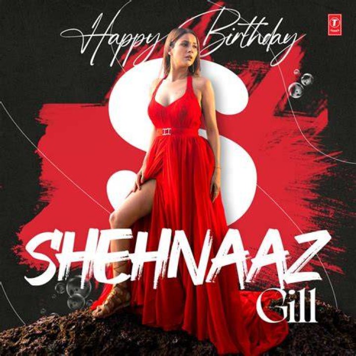 Beat idol shehnaz from shehnaazians Shenaaz gill pic, Stylish boys