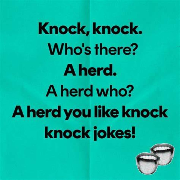 ???????Best Knock Knock Jokes for Adults