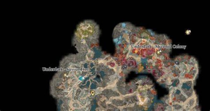 bg3 baelen, bg3 mushroom picker, bg3 noblestalk
