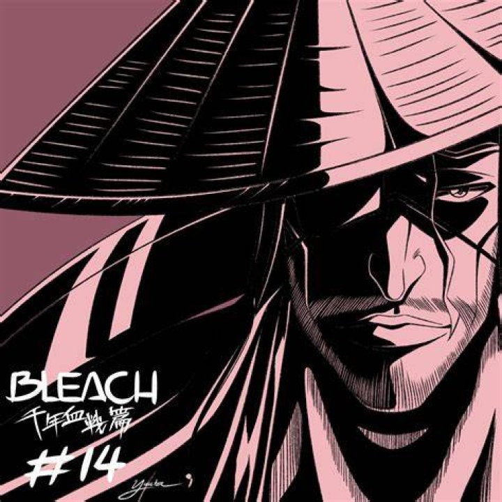 Bleach (Studio Pierrot)