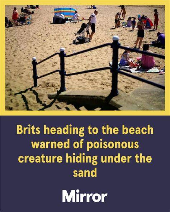 Brits were flocking to the beaches by this time last year