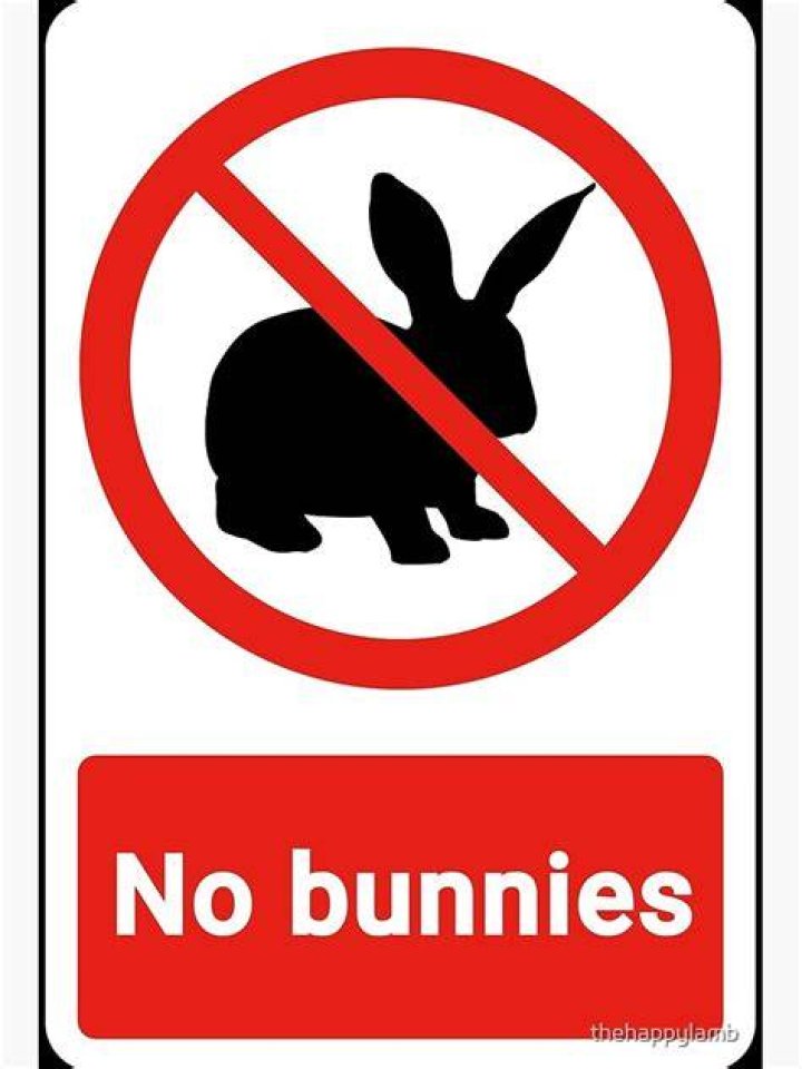 Bunnies are not allowed to shake Hef's hand or ask him for autographs