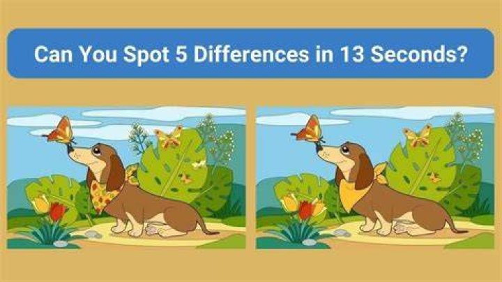 Can you spot the five differences between these two images?