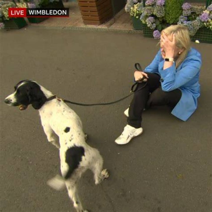 Carol and Dog feature in Season 10C of The Walking Dead