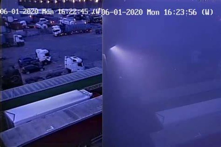 CCTV footage shows the 60-year-old trying to escape the swarm on his hands and knees