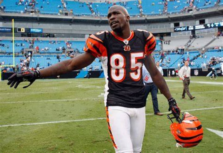 Chad Ochocinco 