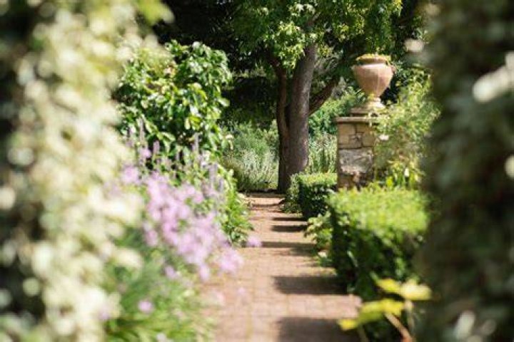 Chelsea Physic Garden was established in 1673 to grow plants to be used as medicines