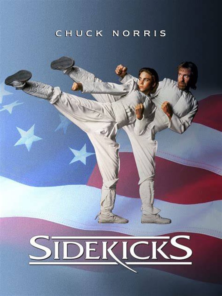 chuck-norris-sidekicks-2-sequel.jpg