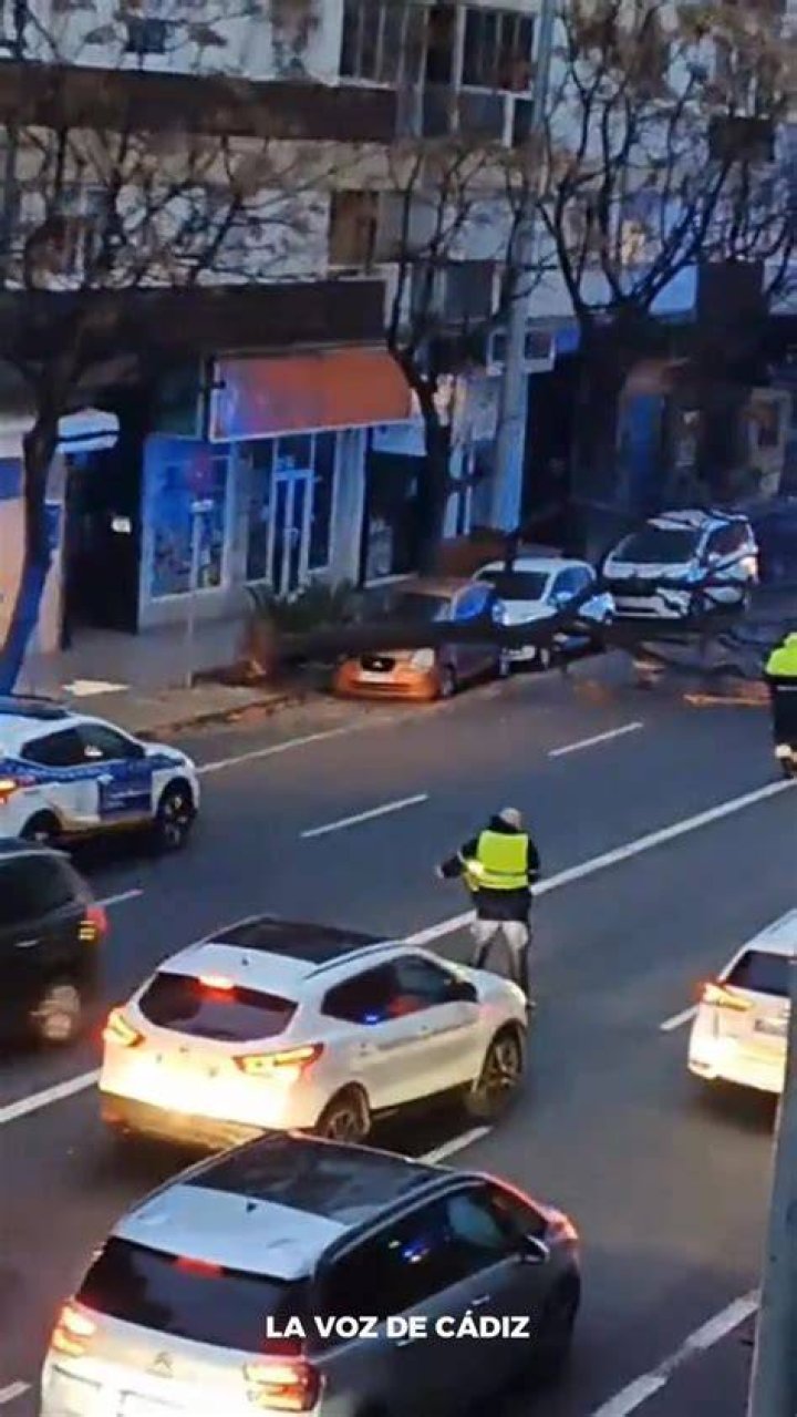 Conducir provoca la ca&iacute;da del cabello Fast and the Furious meme.