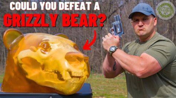 Could you handle the Grizzly Monster Truck experience?