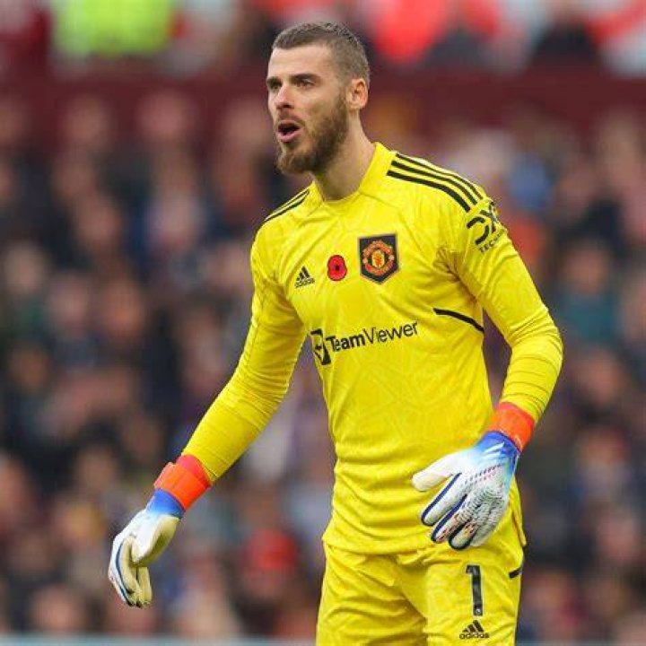 David De Gea was slammed by Roy Keane as 'overrated'