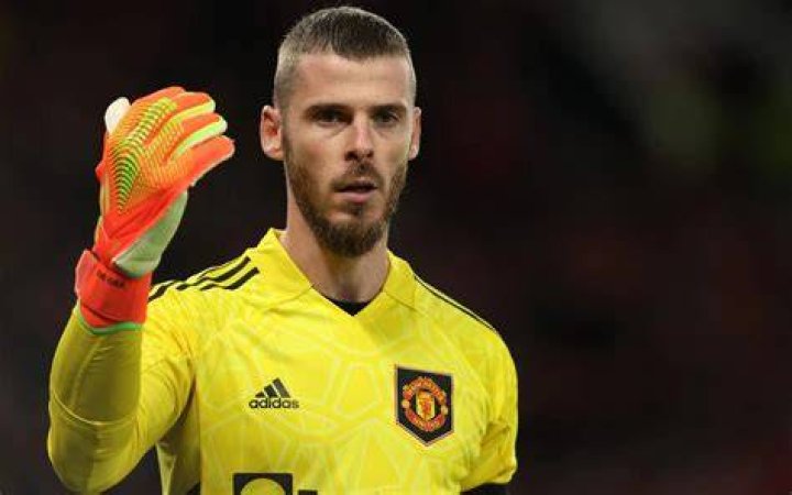 De Gea's selection was fascinating in itself (Source: Goal .com)