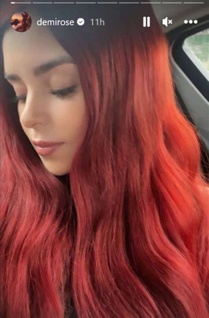 Demi Rose showed off her sizzling Burning Man Festival outfit in a series of sexy Instagram snaps