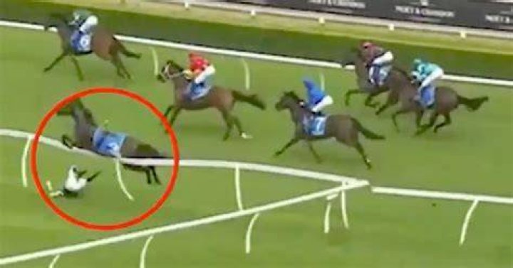 Disaster struck the jockey's hot air balloon ride when it crashed into this light pole