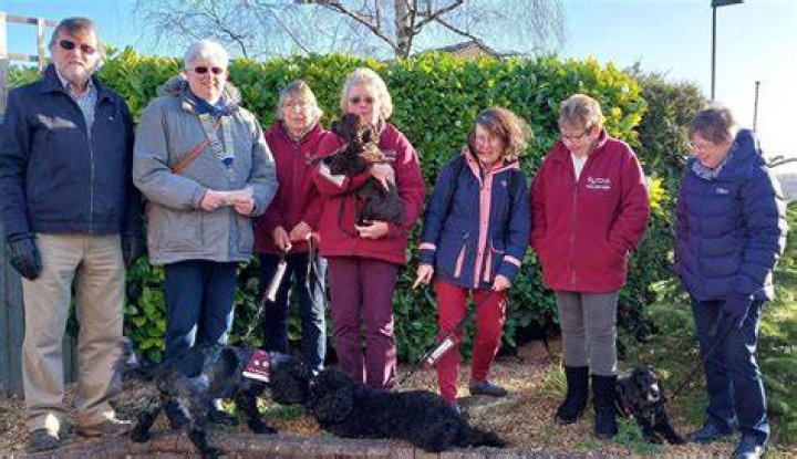  Dogs were walked in Stamford Park in Ashton-Under-Lyne, Greater Manchester, despite the cold