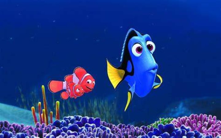 Dory meets new and long lost friends such as Destiny the Tiger Shark.