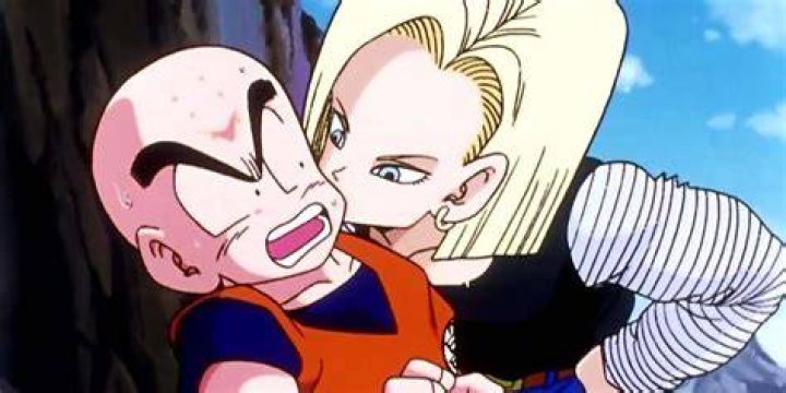 dragon ball krillin android 18
