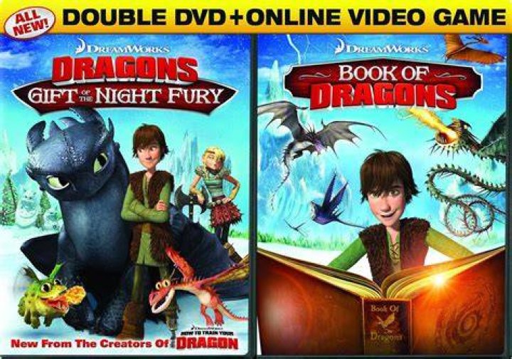 Dreamworks Dragons Gift of the Night Fury
