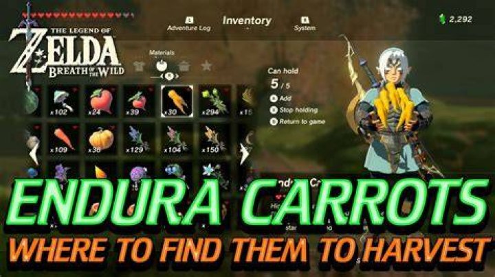 Endura Carrot location