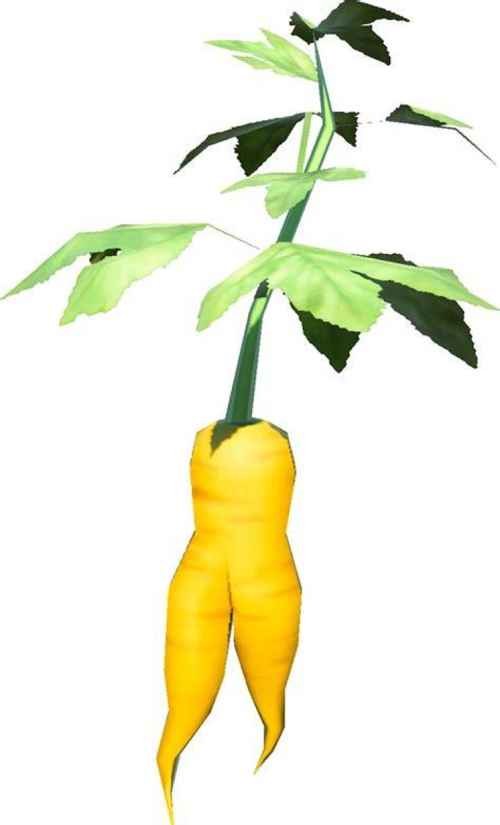 Endura Carrot recipe ToK