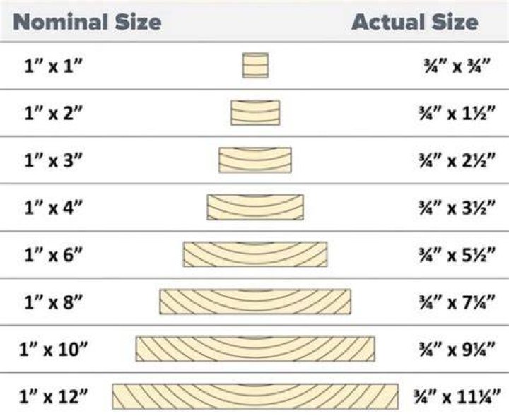 Even the actual sizes of our plates are much bigger now