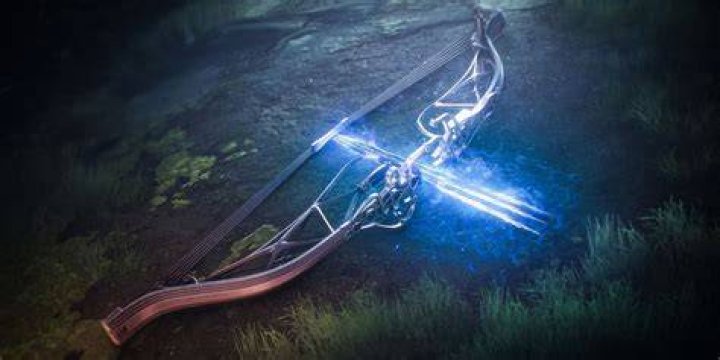  Exotic Bow