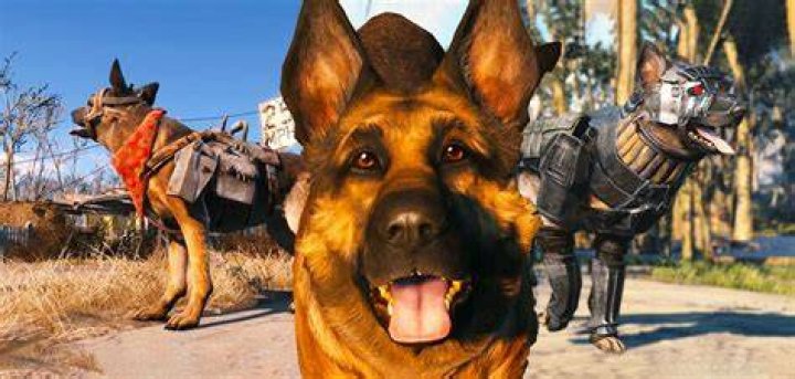 fallout-dog.jpg