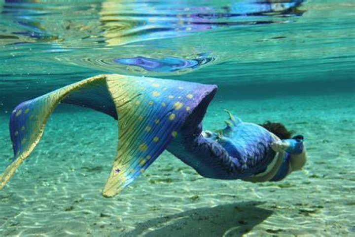 Famous mermaids Real mermaids, Mermaid, Character