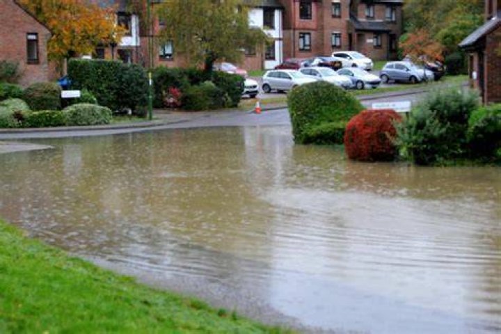 Flooding caused havoc for Brits and their dogs in Newtonabbot, Devon yesterday