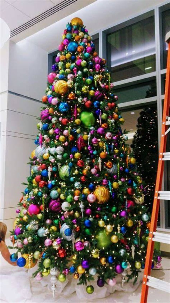  For a colourful Christmas