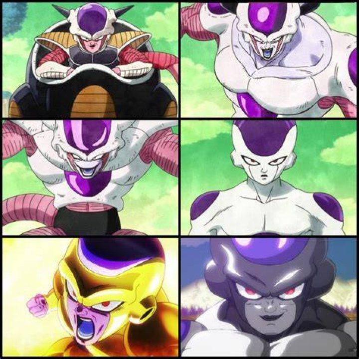 Freeza Bulky Form