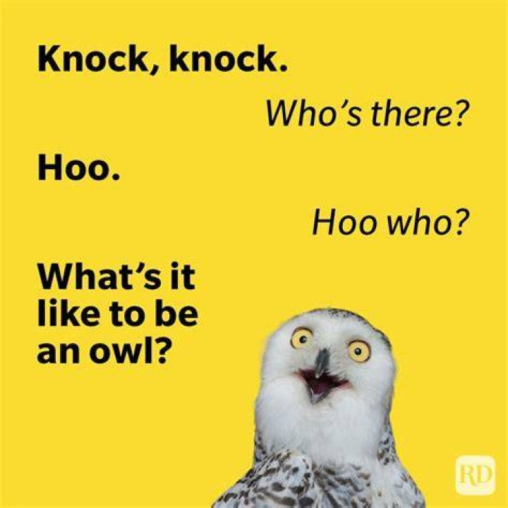 Funny Knock Knock Jokes