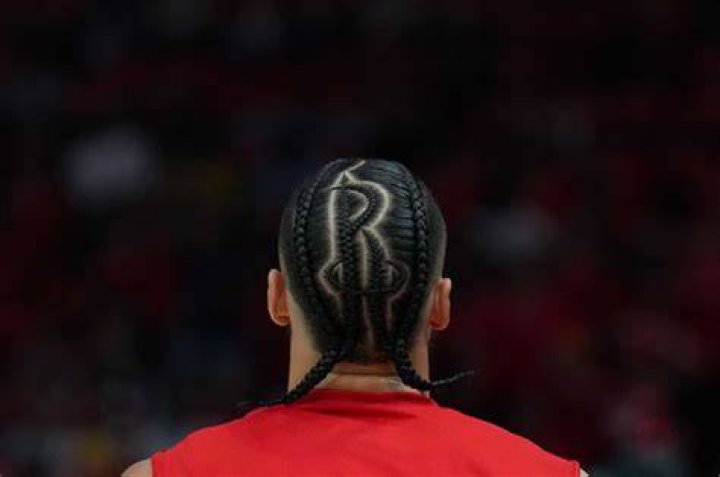 Gerald Green Rockets Hair Braid