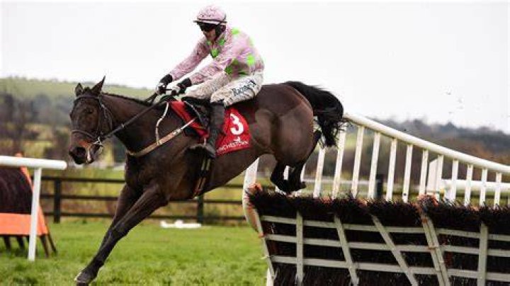  Getabird is the favourite for the Supreme Novices' Hurdle