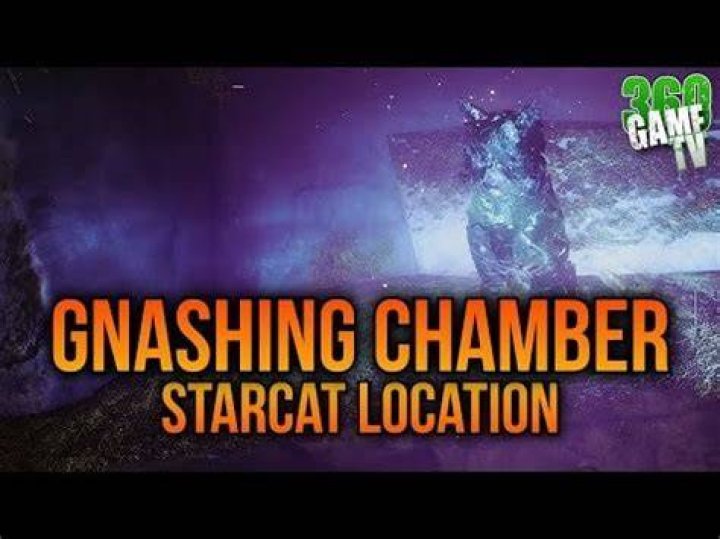 Gnashing Chamber Starcat