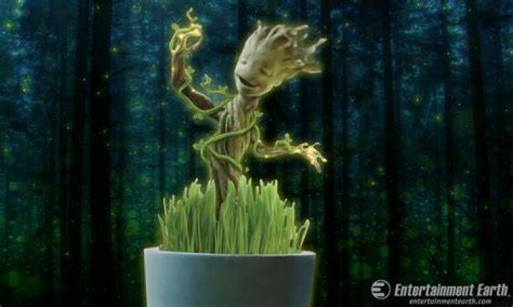 groot growing