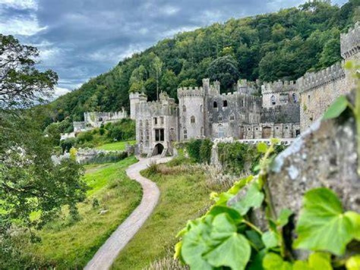 Gwrych Castle, where I'm a Celebrity was filmed, is just over 30 miles from the Wood Pit Nature Reserve