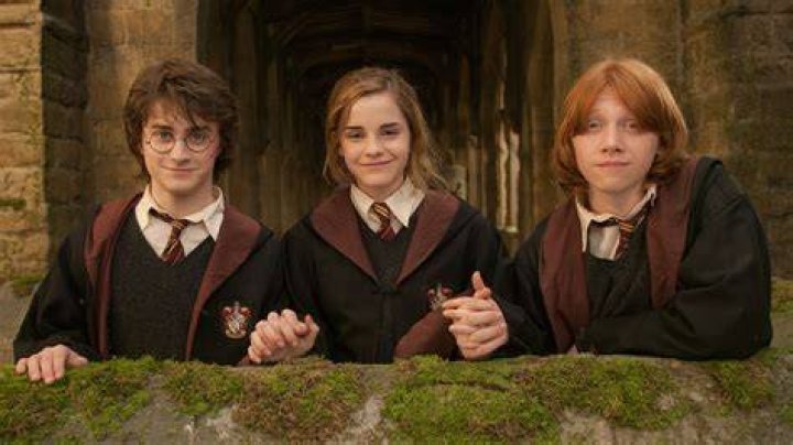 Harry Potter cast Harry Potter Photo (8536522) Fanpop