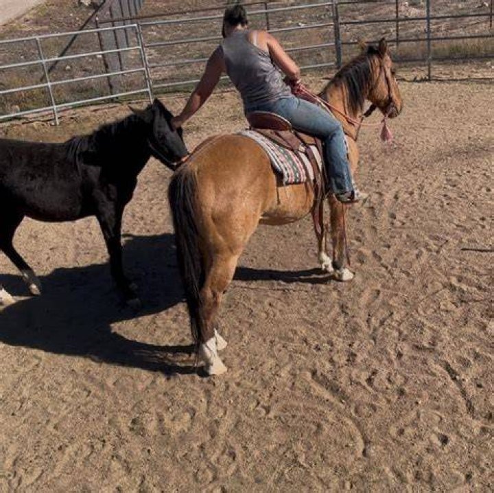 He praised her skills on a horse - but said he couldn't take any of the credit